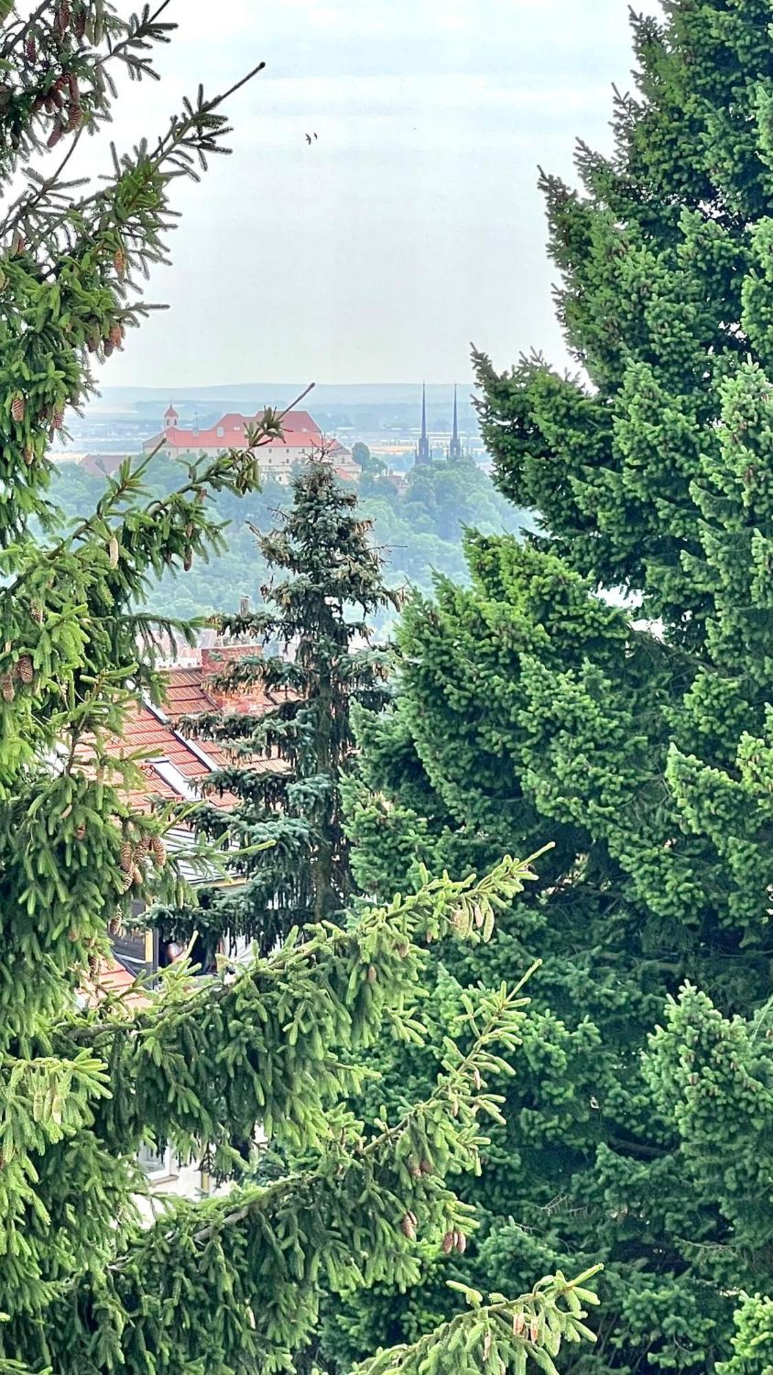 Apartman Se Saunou A Terasou S Vyhledem Na Брно Екстер'єр фото