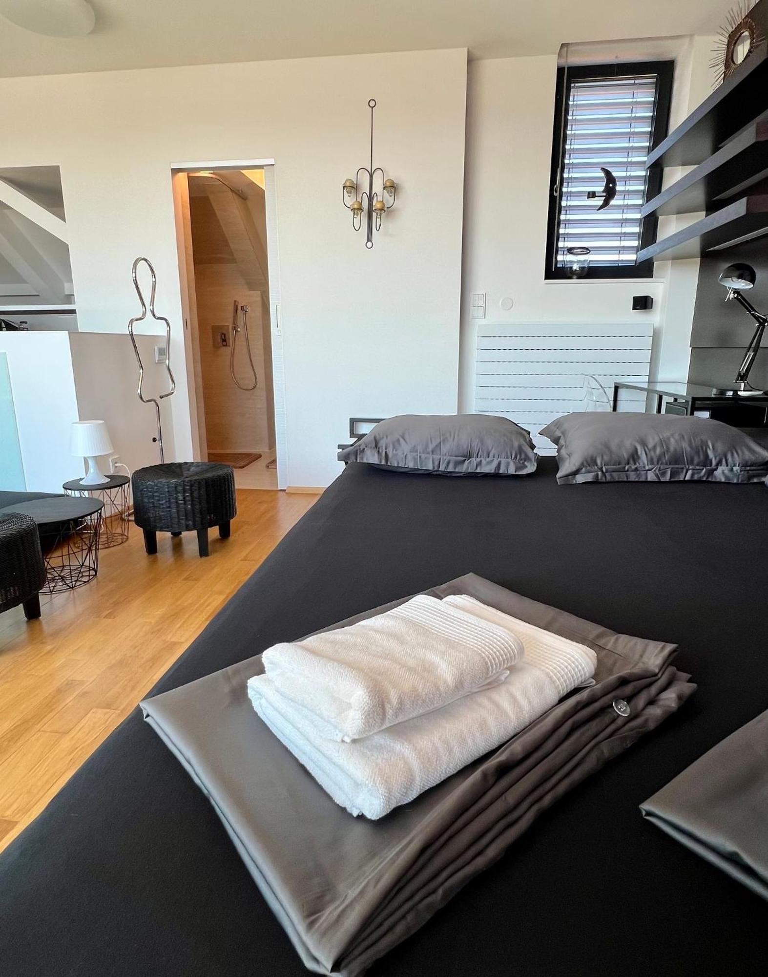 Apartman Se Saunou A Terasou S Vyhledem Na Брно Екстер'єр фото